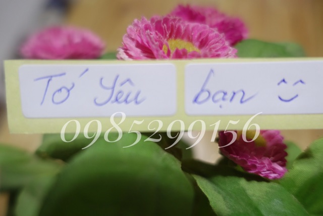 Nấm sữa Kefir, Kefir milk