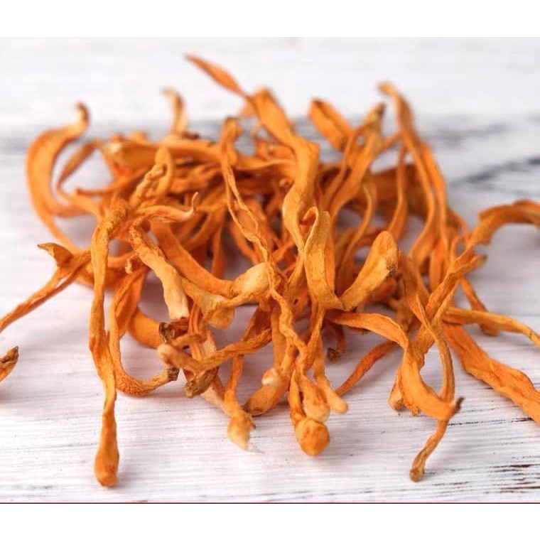 Bông đông trùng thảo nấu canh pha trà trụng lẩu thơm ngon giòn ngọt bổ dưỡng cho cơ thể