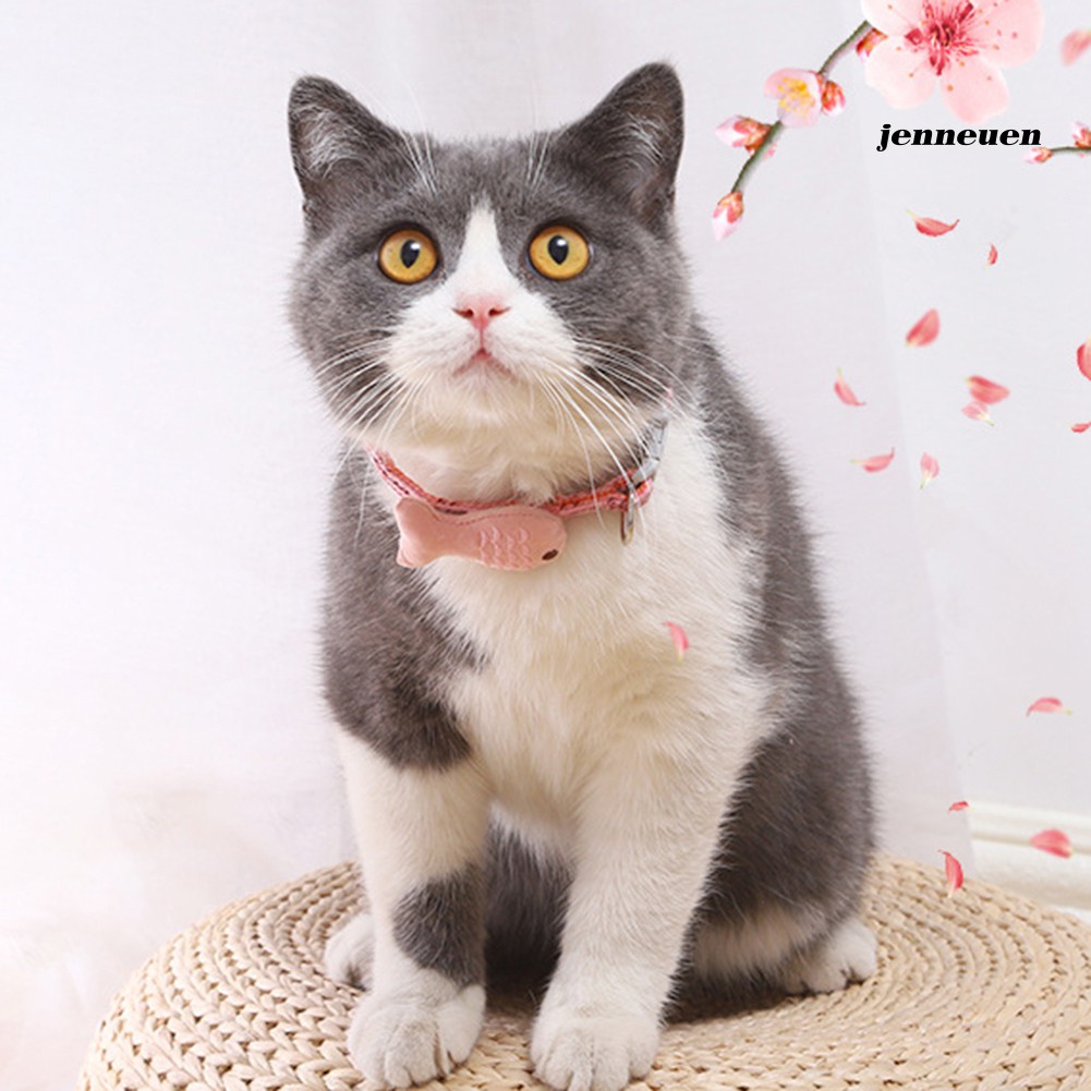 Vòng cổ choker có thể điều chỉnh dễ thương dành cho mèo