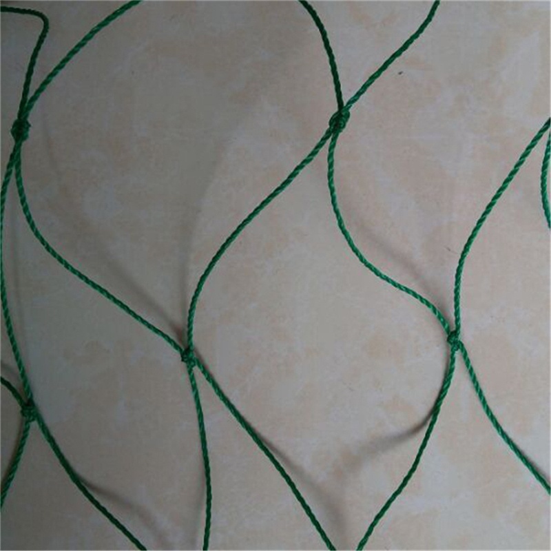 Lưới Trồng Cây Dây Leo Bằng nylon Tiện Lợi