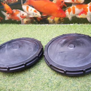 ĐĨA SỦI JAGER ĐỨC D27.