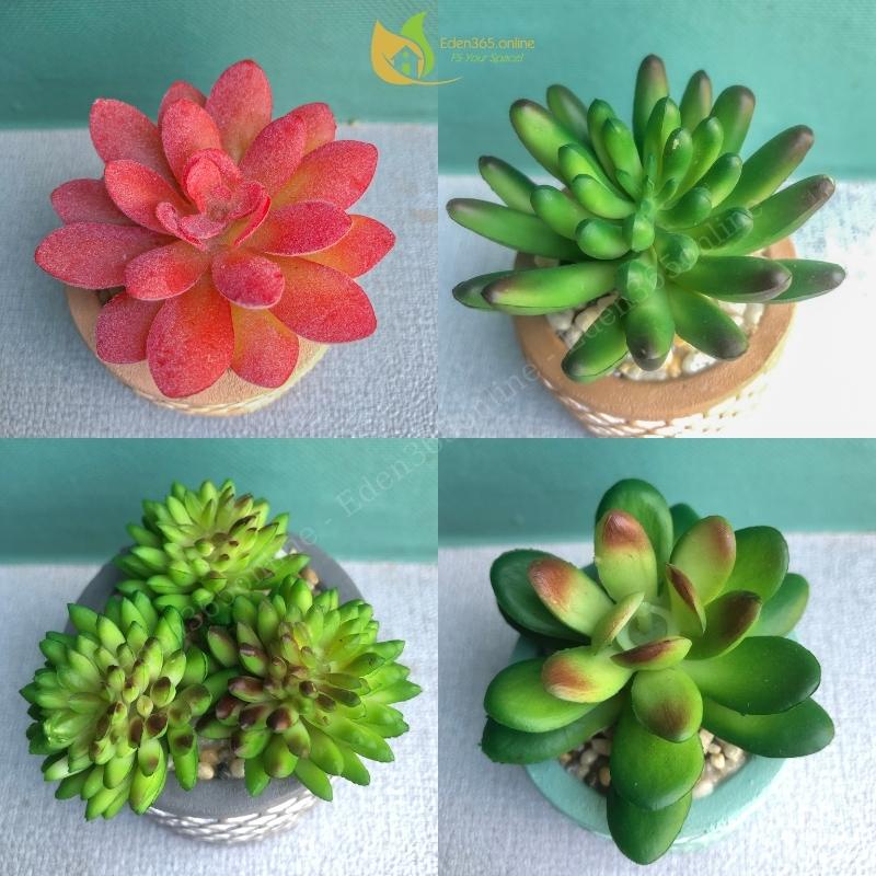 Bộ 4 chậu sen đá trang trí, chậu sen đá mini nhân tạo họa tiết tổ ong dễ thương, trang trí decor quá cafe, bàn làm việc