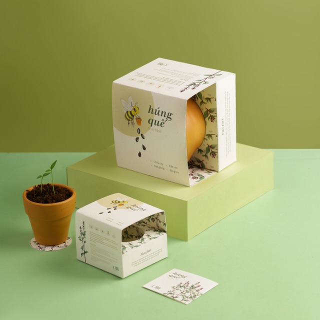 Kit Trồng Cây Mini - Cây Húng Quế | Plant Kit - Basil