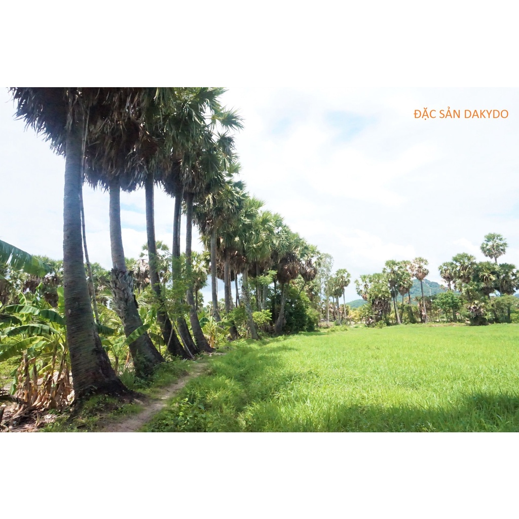 Đường thốt nốt sệt Palmania nguyên chất 100%, ăn là ghiền (đặc sản 7 núi - An Giang), 400g