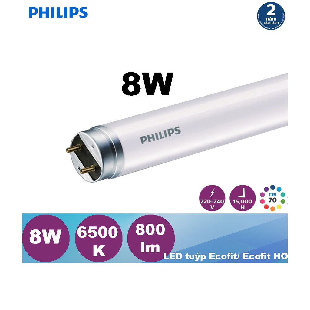 Bóng LED tuýp Ecofit/Ecofit HO Philips LEDtube 8W 765 T8 AP I G dài 600mm 800lm 6500K(Trắng)