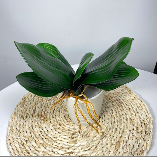 Cây Lan Giả Có Rễ, màu xanh hàng loại 1 (5 lá) trang trí, decor nhà, cắm để bàn, chụp ảnh.