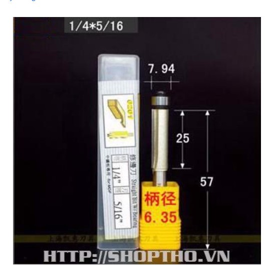 Mũi phay thẳng ARDEN 0201 - bi dưới chuyên dùng để chép hình