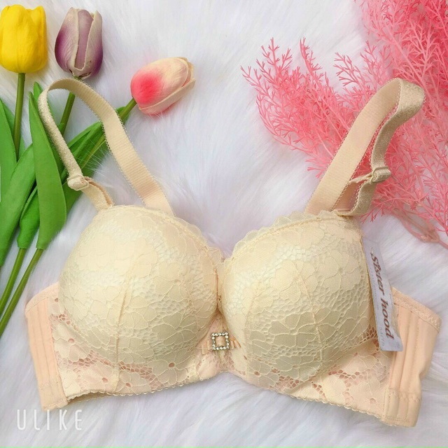 Áo Lót Thái Lan Không Gọng Siêu Nâng Ngực Cao Cấp 3065