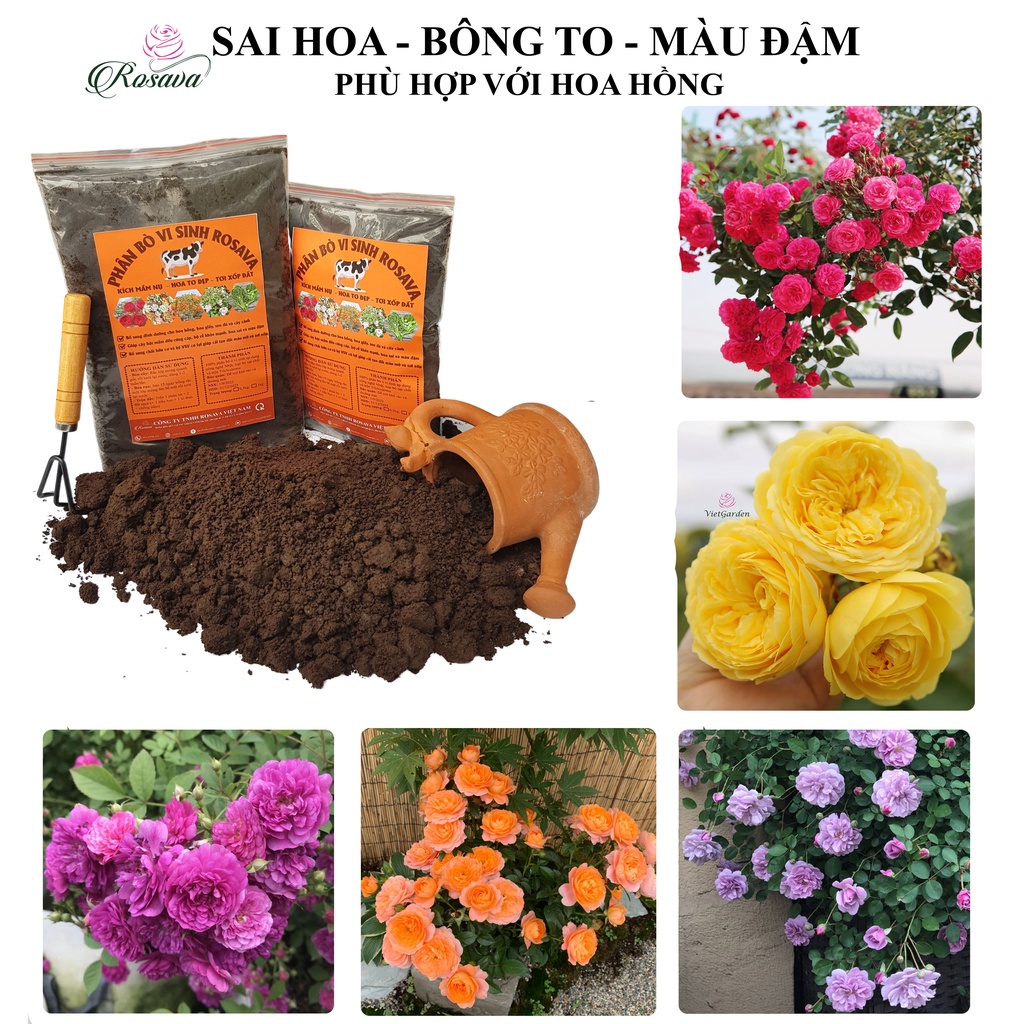 Phân bò hữu cơ vi sinh ROSAVA đã xử lý bón hoa hồng, cây cảnh, sen đá, hoa giấy, lan và rau sạch