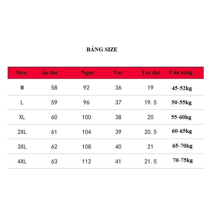 NT7251 Áo thun nữ hè tay ngắn cho người trung tuổi hàng nhập (50-75kg)