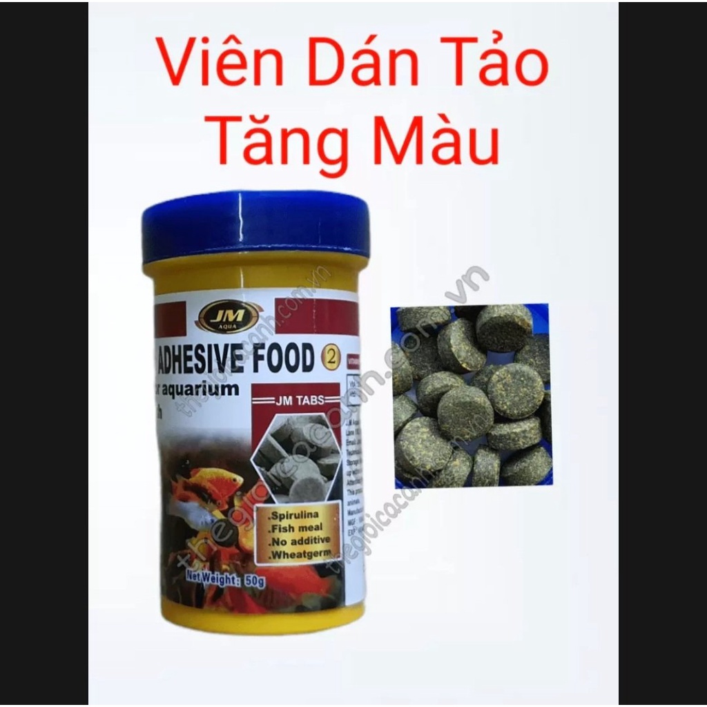 Thức ăn dán kính JM Aqua cho cá cảnh thủy sinh