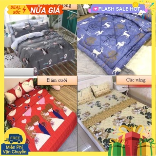 Bộ ga gối drap 1m6 cotton poly vikona mẫu a0006