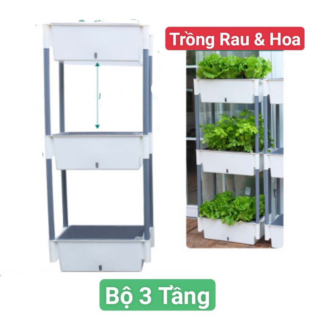 Giá trồng rau tự dưỡng 3 tầng Không cần tưới nước Kệ trồng rau thông minh cho sân thượng ban công