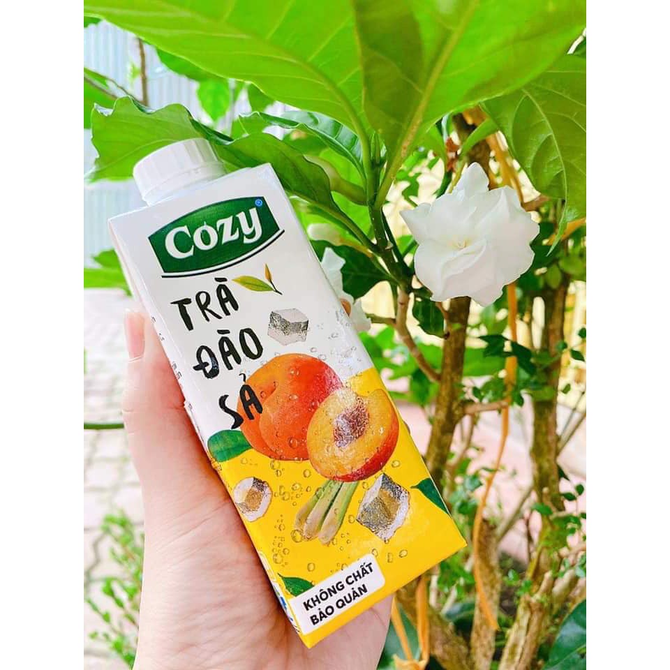 Trà cozy lốc 4 hộp/thùng 24 hộp 225ml - vải, trà tắc mật ong, trà đào sả - Trà hoa quả uống liền | BigBuy360 - bigbuy360.vn