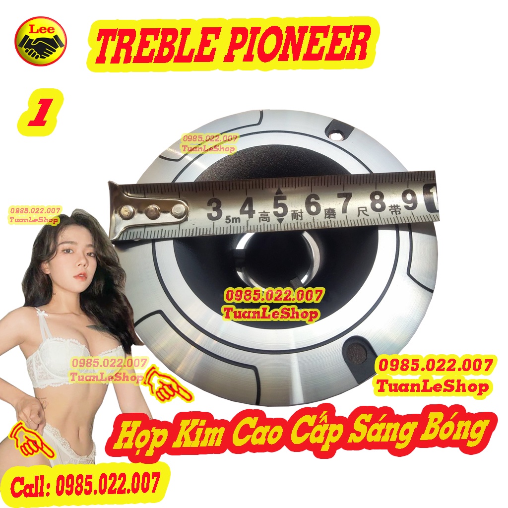 HAI CỦ LOA TREBLE PIO NEEER  MÀNG NANO KÈM TỤ 3.3MF TỐT - LOẠI 3 LỖ VÍT PIONEER P8802