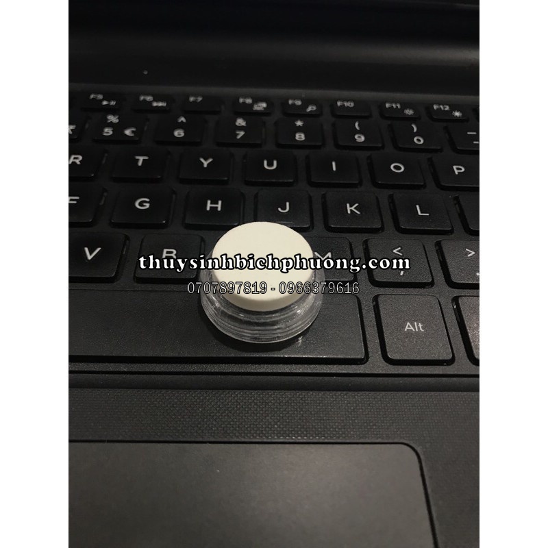 SỦI OXY SIÊU MỊN T23 - HOÀ TAN OXI TỐT NHẤT HIỆN NAY CHO HỒ CÁ THỦY SINH