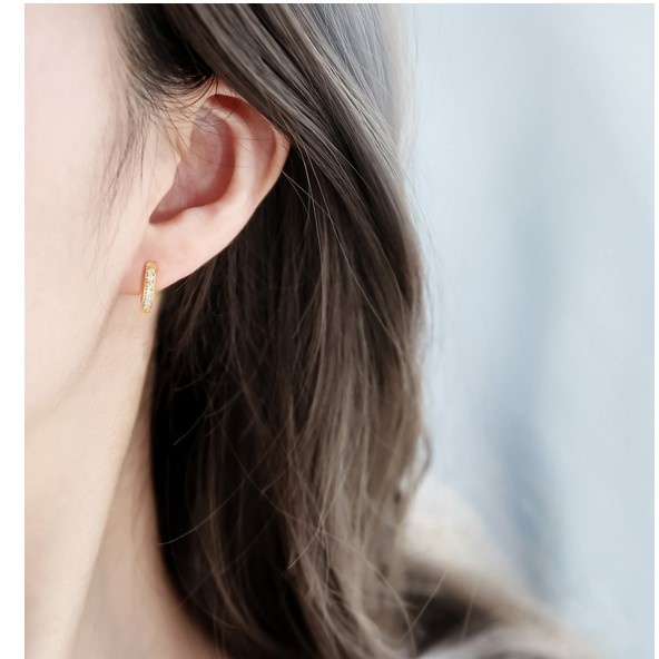 Bông tai nữ titan kiểu tròn nhỏ xinh đính đá lấp lánh không gỉ WE2208