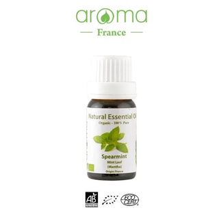 Tinh Dầu Thiên Nhiên Bạc Hà Lá Dài - Spearmint Essential Oil