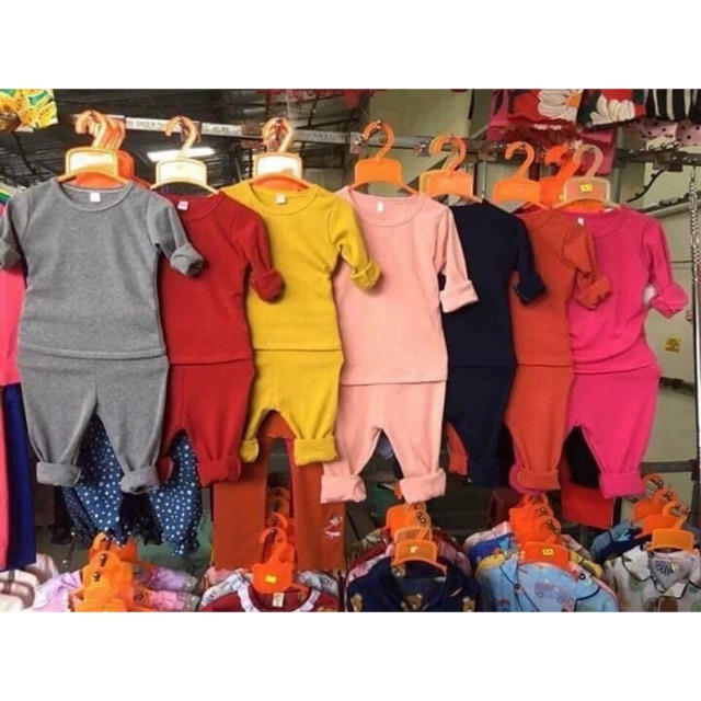 Sỉ bộ bozip dài