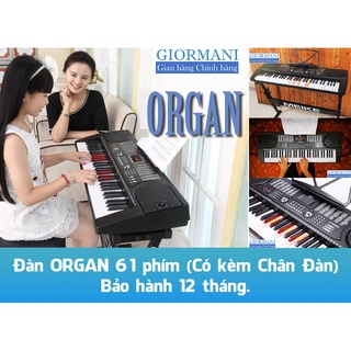 Đàn piano / organ điện - hàng cao cấp giormani