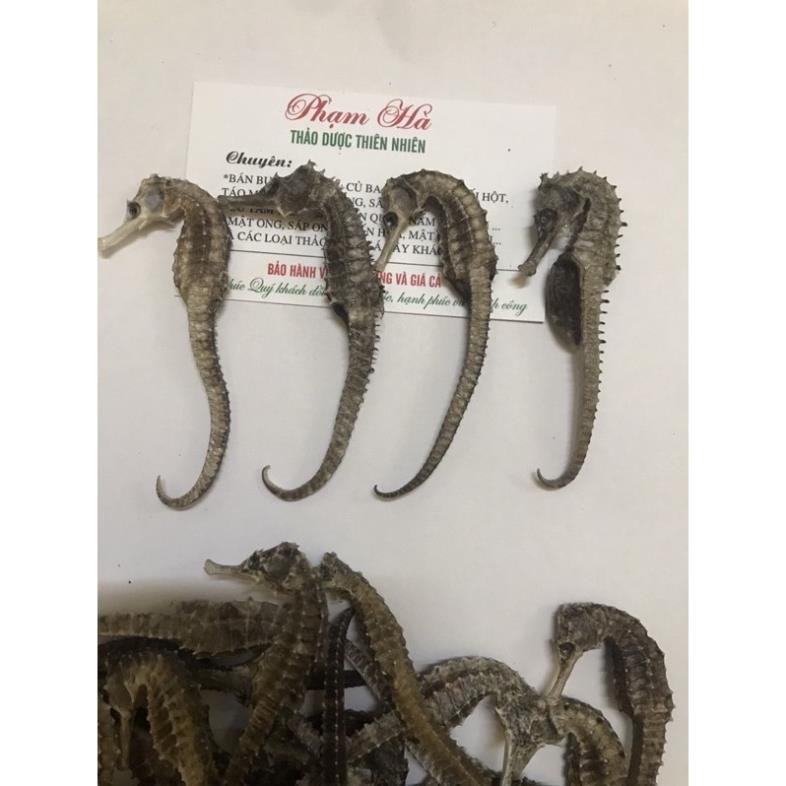 CÁ NGỰA KHÔ SIZE 6-8CM