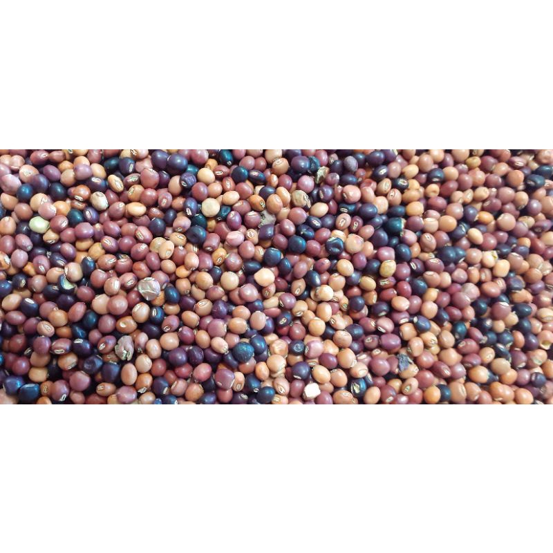 1kg Hạt đậu săng