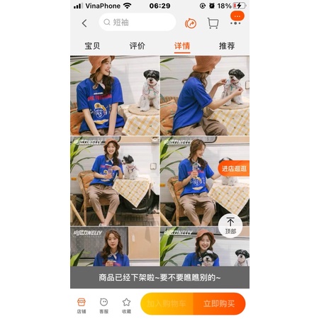 Áo phông nelly heybig sale (có sẵn) the festival