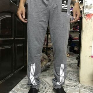 Quần thể thao adidas