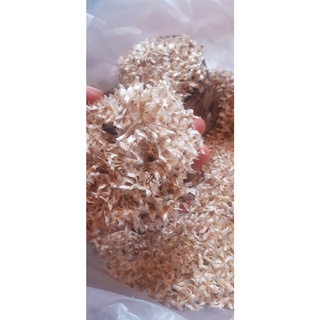 HẠT NÚC NÁC GIỐNG