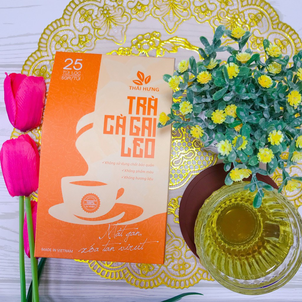 Trà cà gai leo túi 25* 5g An Thái Hưng