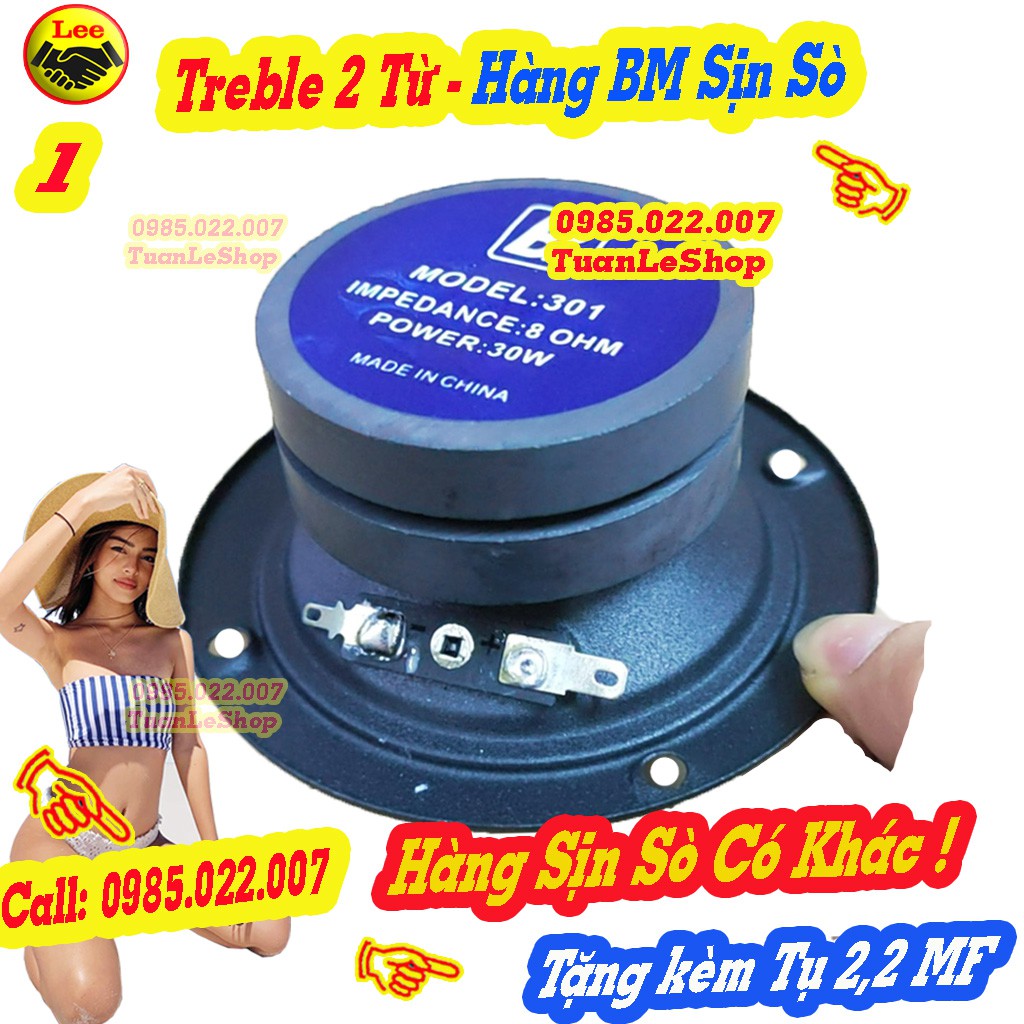 LOA TREP TỪ KÉP CAO CẤP BM TỪ ĐÔI HÀNG CHẤT LƯỢNG – GIÁ 01 TREBLE + TỤ 2.2MF