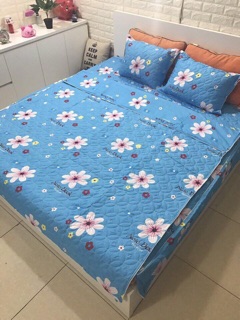 SET CHĂN GA GỐI COTTON POLY TRẦN BÔNG