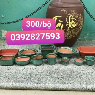 Combo  chậu  bonsai  Cao cấp