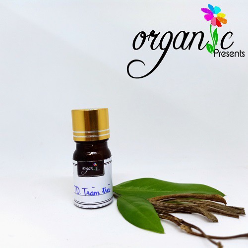TINH DẦU TRÀM TRÀ - NGUYÊN LIỆU MỸ PHẨM