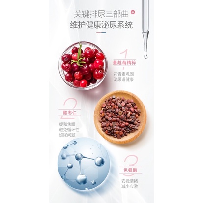Bột InKat Hỗ trợ tiết niệu Bổ thận cho mèo chiết xuất việt quất Surica IN09 (1gx15gói)