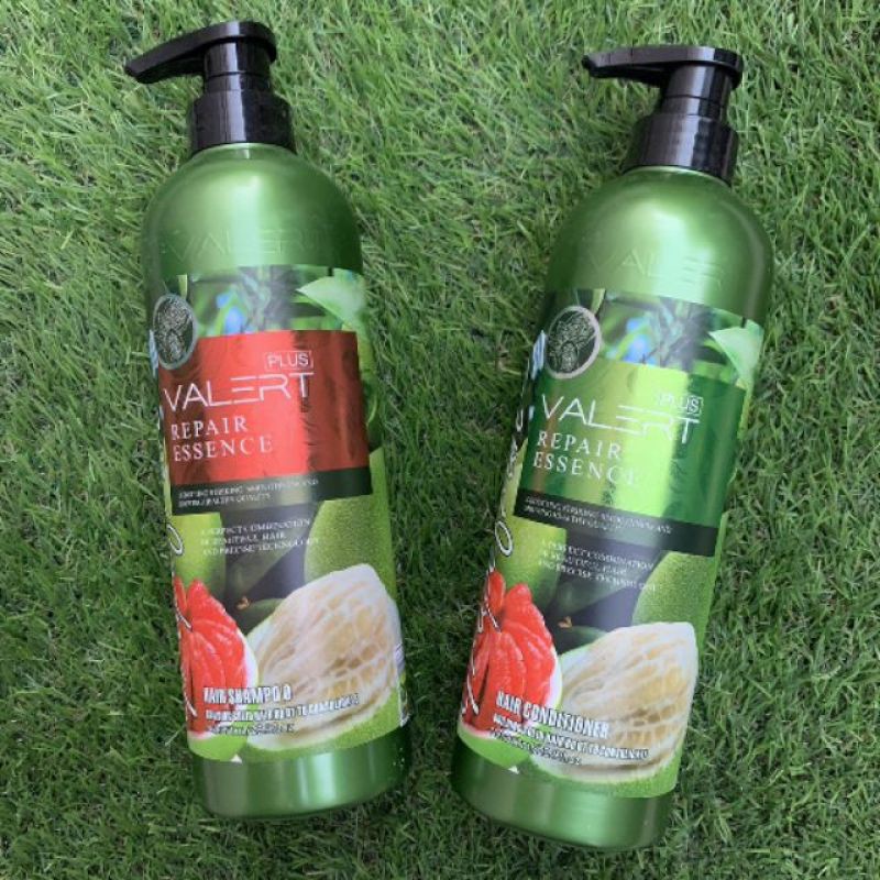 Dầu Gội Dầu Xả Bưởi Chống Rụng Và Kích Thích Mọc Tóc 850ml [Gội + xả, giá sỉ] | BigBuy360 - bigbuy360.vn