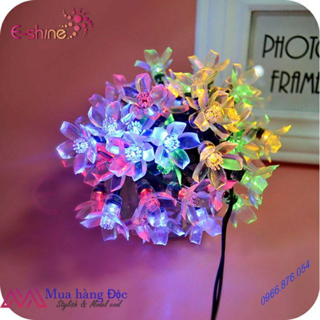 Đèn Trang Trí Ngoài Trời 💡💡💡 Dây Đèn Chống Nước Sakura Hoa Anh Đào Năng Lượng Mặt Trời