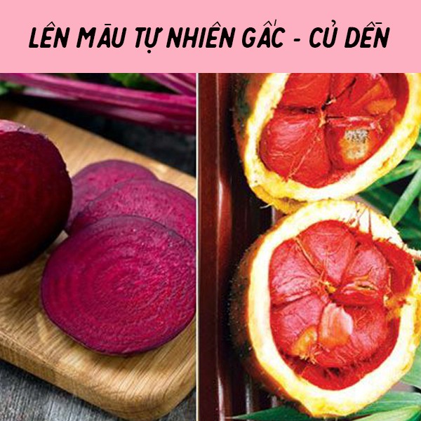 Son dưỡng môi không màu, son dưỡng có màu củ dền, gấc Quê Một Cục căng sáng da môi, mờ thâm hiệu quả handmade 5g