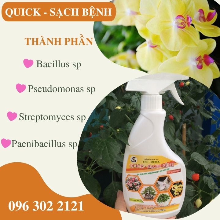 QUICK - SẠCH BỆNH: Phòng Ngừa Nấm Bệnh, Tăng Sức Đề Kháng Cho Cây. Xịt liền không pha chế, An Toàn Sinh Học