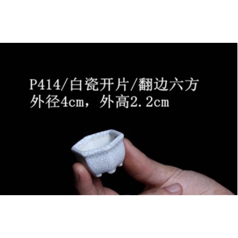 Chậu mini , chậu bonsai mini , chậu tàu mini