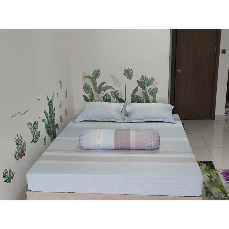 Bộ chăn ga gối modal-  Drap24 - họa tiết sọc xanh