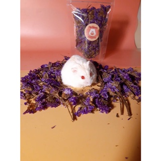 Hoa lưu ly sấy khô- Giảm căng thẳng cho Hamster