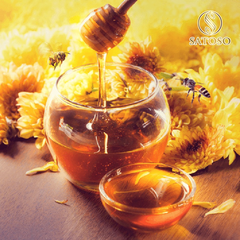 Mật ong lên men nguyên bản SATOSO bổ sung lợi khuẩn cho đường ruột SA138