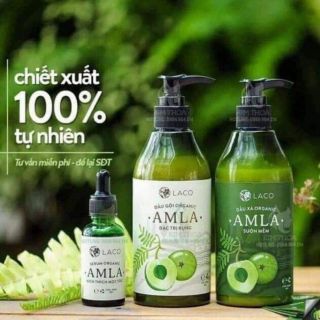 Dầu gội đầu Laco ( 1 Chai )