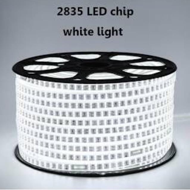 Dây Led Cuộn  100M 2835