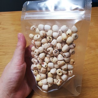 Hạt Sen Khô Túi 100g