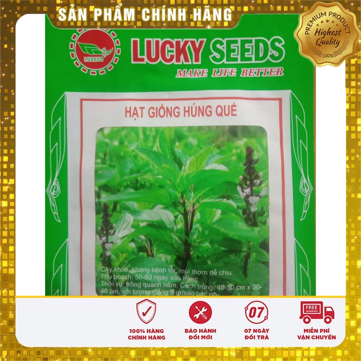 Hạt giống Rau Húng Quê ( gói 2 gram )