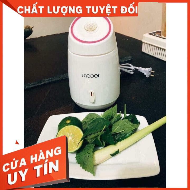 máy xông mặt , máy xông hơi da mặt thảo dược , hoa quả tươi tự động 2 in 1 MAOER