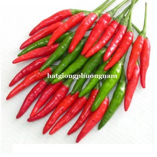 Hạt giống ớt hiểm