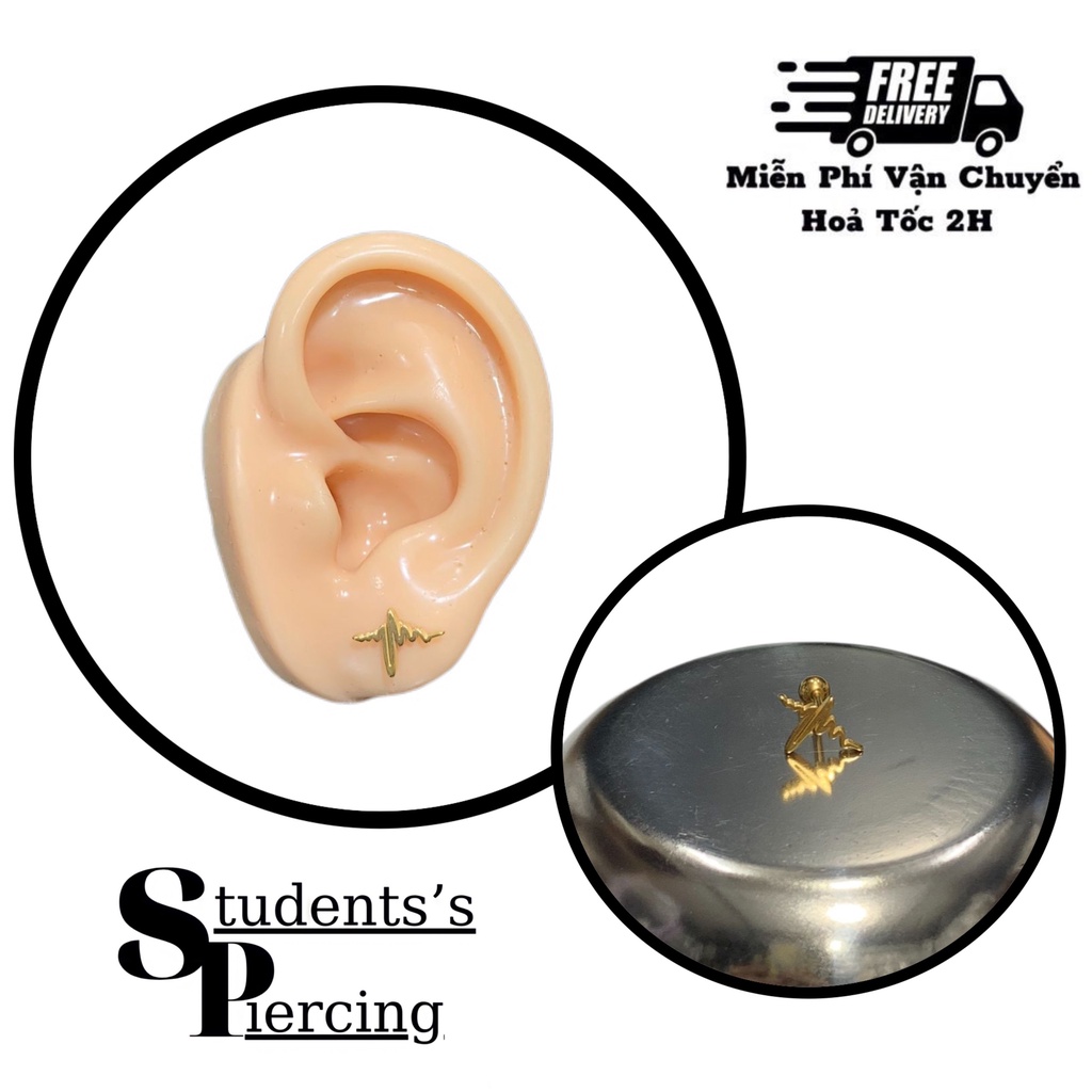 [NOW SHIP] KHUYÊN TAI HÌNH NHỊP TIM CÁ TÍNH - KHUYÊN THÉP 316L KHÔNG GỈ
